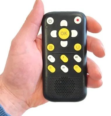 ویس ریکوردر دیزی پلیر